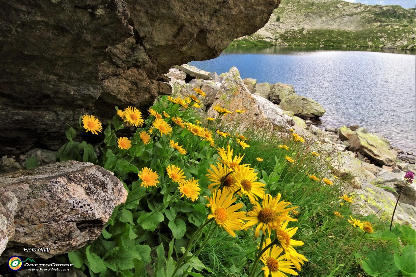78 Doronico dei macereti con vista sul Lago dei Curiosi.JPG -                                